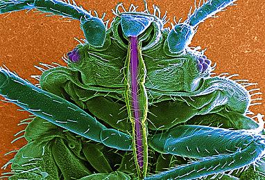 《星空》Steam版现已开启预载 新宣传片欣赏